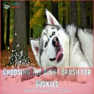 Choosing The Right Brush for Huskies