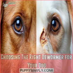 Choosing The Right Dewormer for Your Dog