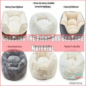 Choosing The Right Dog Bed Core Material