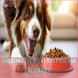 Choosing The Right Dog Food for Allergies