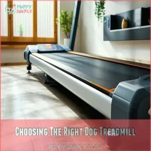 Choosing The Right Dog Treadmill