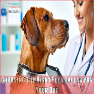 Choosing The Right Flea Collar for Your Dog