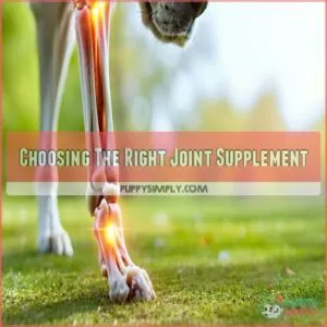 Choosing The Right Joint Supplement