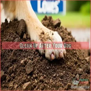 Clean Up After Your Dog