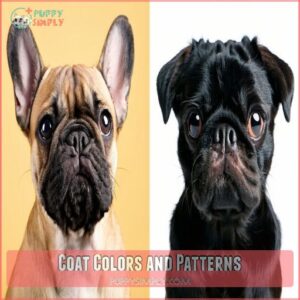 Coat Colors and Patterns