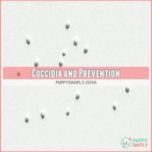 Coccidia and Prevention