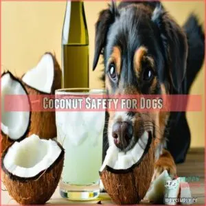 Coconut Safety for Dogs