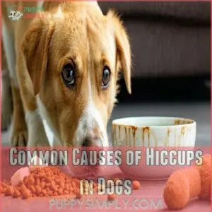 Common Causes of Hiccups in Dogs