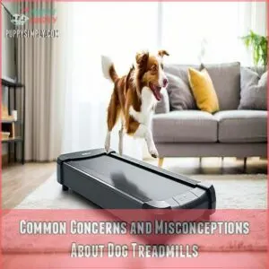 Common Concerns and Misconceptions About Dog Treadmills