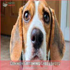 Common Grooming Challenges