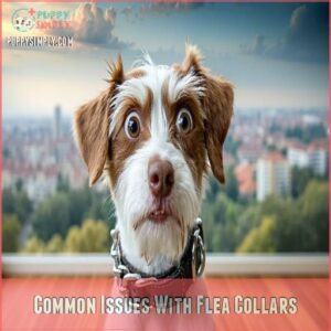 Common Issues With Flea Collars