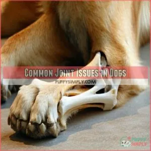 Common Joint Issues in Dogs