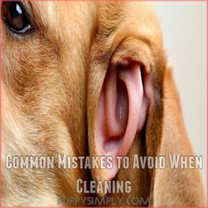 Common Mistakes to Avoid When Cleaning