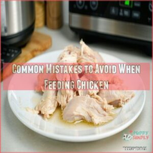 Common Mistakes to Avoid When Feeding Chicken