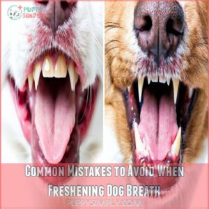 Common Mistakes to Avoid When Freshening Dog Breath