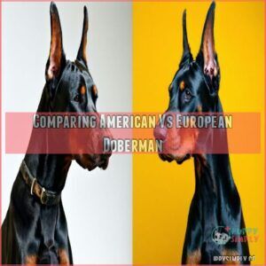 European Doberman: American Vs. European - 15 Jaw-Dropping Secrets!