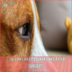 Concerns and Observations After Surgery