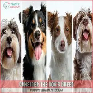 Consider The Dog's Breed