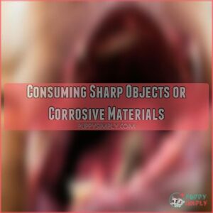 Consuming Sharp Objects or Corrosive Materials