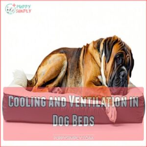 Cooling and Ventilation in Dog Beds