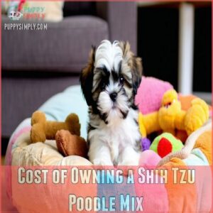 Cost of Owning a Shih Tzu Poodle Mix