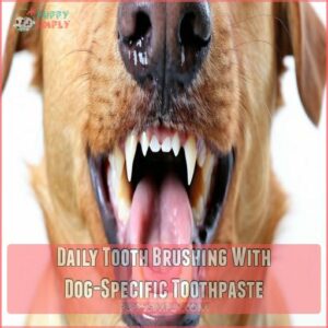 Daily Tooth Brushing With Dog-Specific Toothpaste