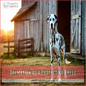 Dalmatian as a Protective Breed