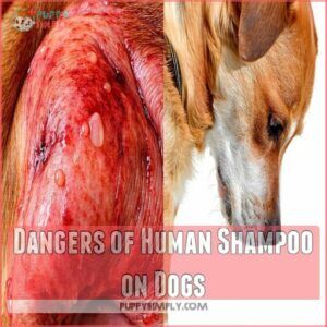 Dangers of Human Shampoo on Dogs