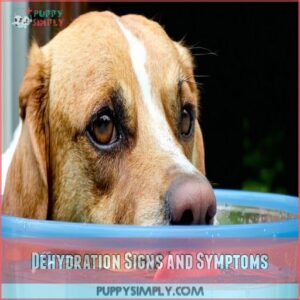 Dehydration Signs and Symptoms