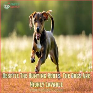 Despite The Hunting Roots, The Dogs Are Highly Lovable