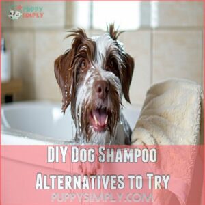 DIY Dog Shampoo Alternatives to Try