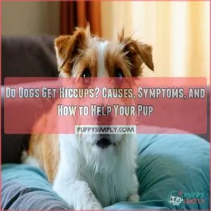 do dogs get hiccups