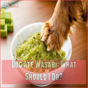 Dog Ate Wasabi: What Should I Do