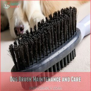 Dog Brush Maintenance and Care