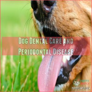 Dog Dental Care and Periodontal Disease