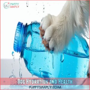 Dog Hydration and Health