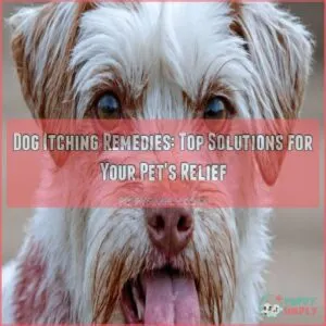 dog itching remedies