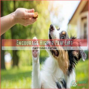 Encourage Higher Paw Lift