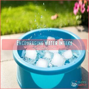 Encouraging Water Intake