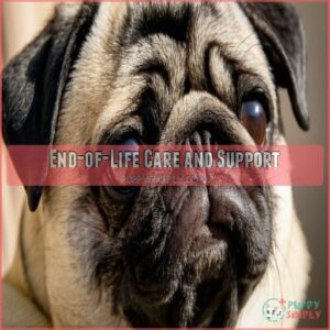 End-of-Life Care and Support