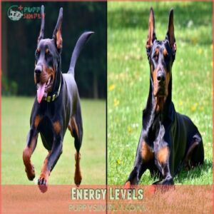 Energy Levels