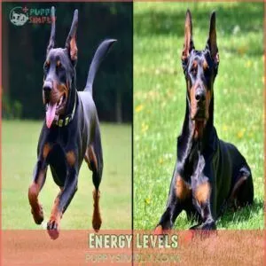 Energy Levels Energy Levels