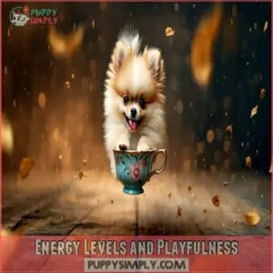 Energy Levels and Playfulness