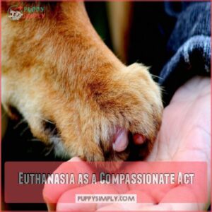 Euthanasia as a Compassionate Act