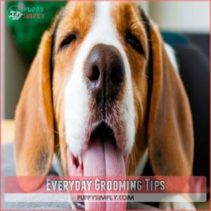 Everyday Grooming Tips