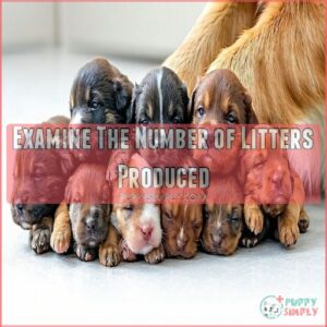 Examine The Number of Litters Produced