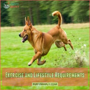 Exercise and Lifestyle Requirements