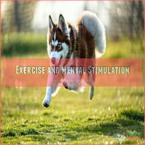 Exercise and Mental Stimulation