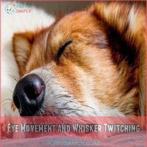 Eye Movement and Whisker Twitching