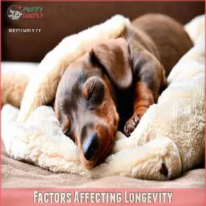 Factors Affecting Longevity